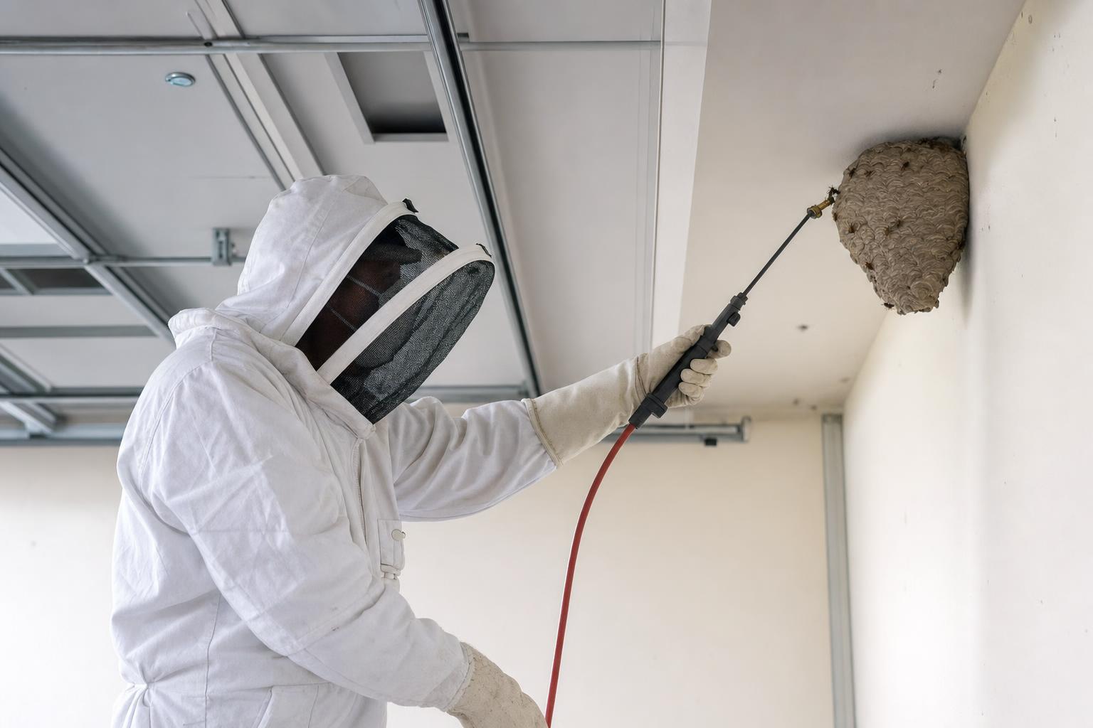 DERASPOL technik při profesionálním DDD zásahu na Moravě